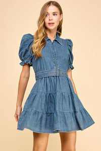 Denim Collared Cinched Waist Dress