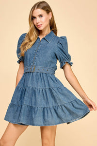 Denim Collared Cinched Waist Dress