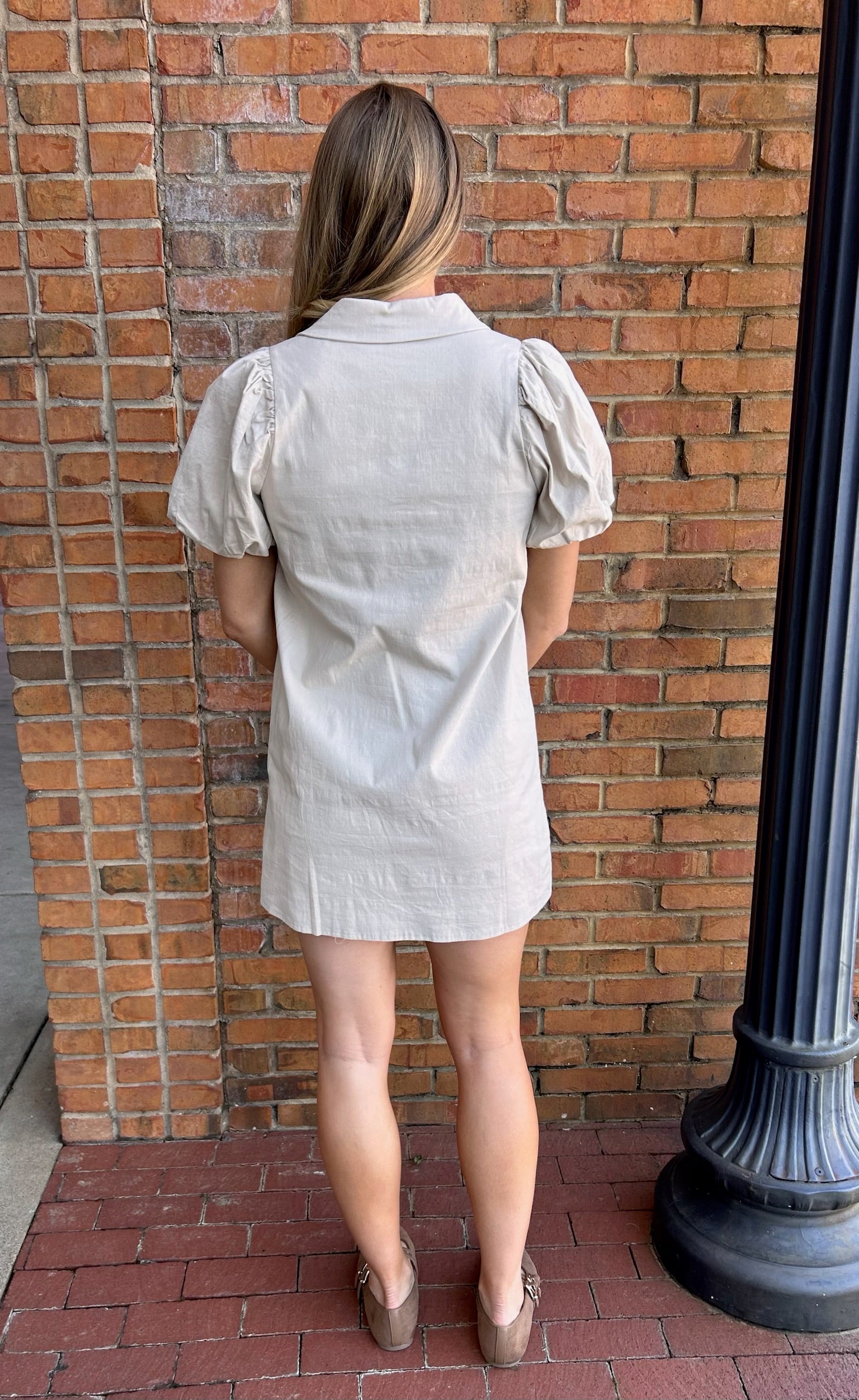 Oatmeal Button Down Dress