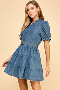 Denim Collared Cinched Waist Dress