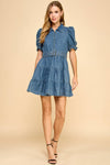 Denim Collared Cinched Waist Dress